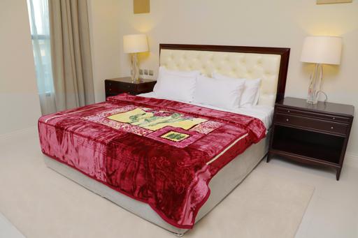 Parajohn 2 Ply 1 Side Embossed Raschel 2020 Blanket 200x240