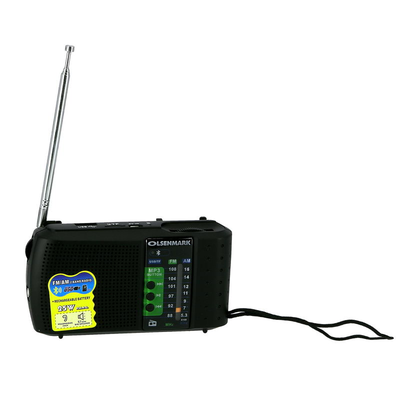 Fm/Am/Usb/Sd/Mw/Bt/Aux Rechargeable Radio 1X100 - 2 Band Radio - Large Capacity Battery - Portable, Lightweight - Microphone Jack