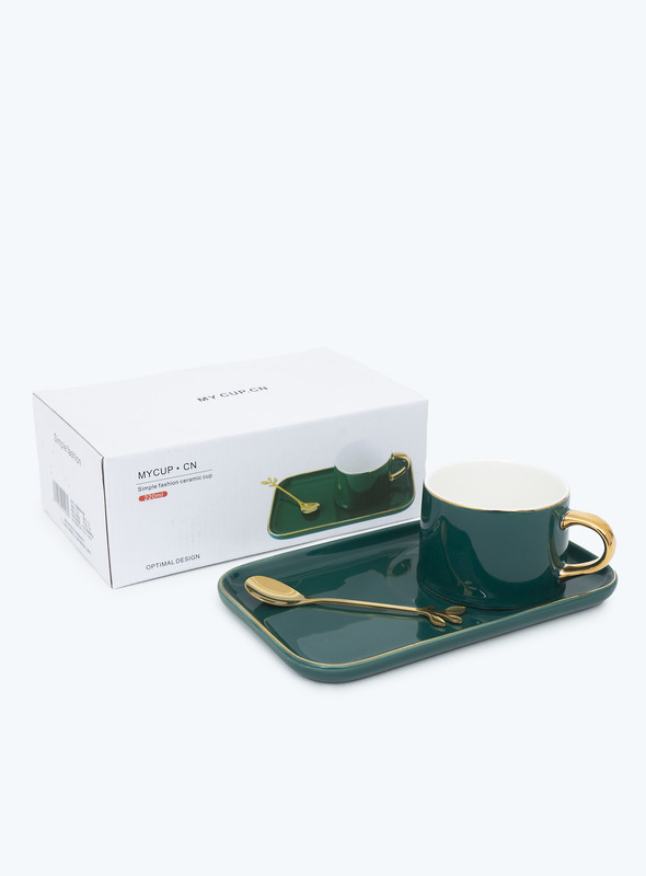 DAY N DAY  ceramic coffee cup saucer set with gold plate and flower cup with cover and spoon water cup gift box coffee