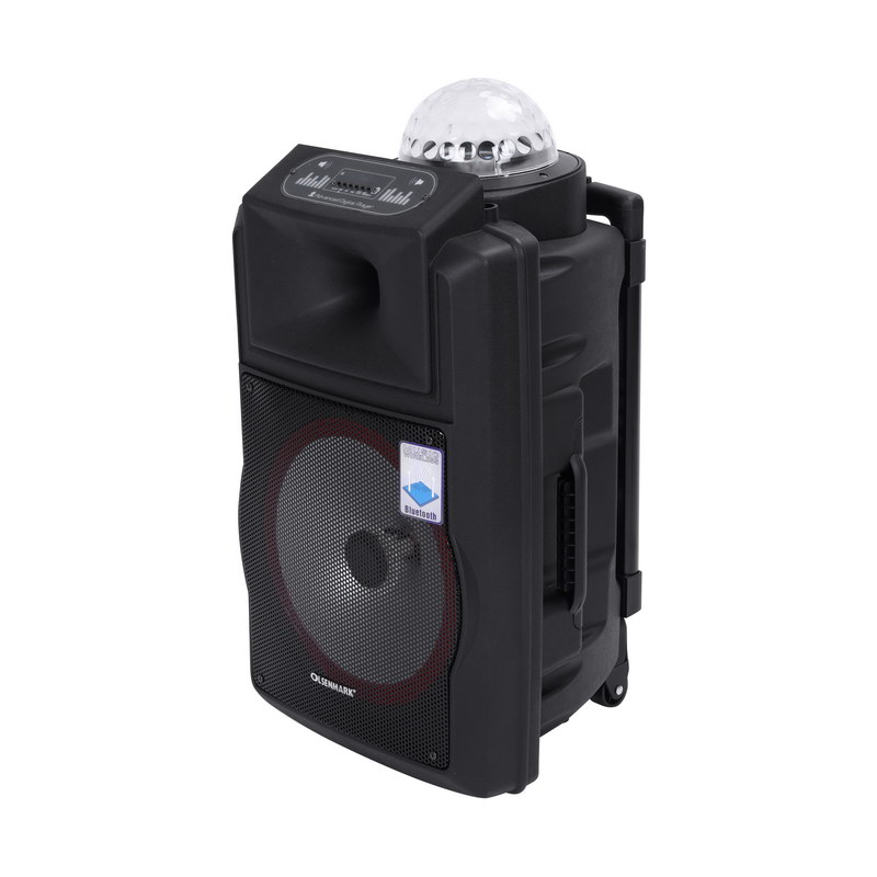 Rechargeable Speaker -12 Inch with USB, SD Card, FM, Mic, Bluetooth & Remote