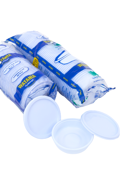 Day N Day  Cups and Plates