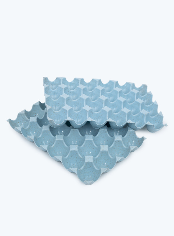 Day N Day Egg Tray