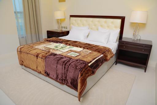 Parajohn 2 Ply 1 Side Embossed Raschel 2020 Blanket 200x240