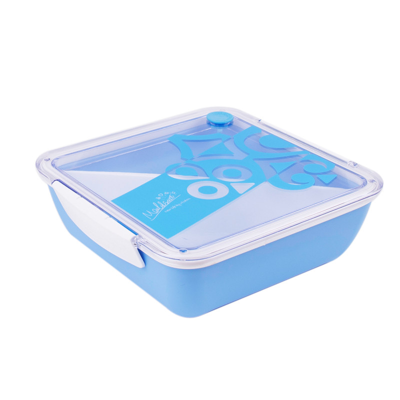 DAY N DAY Lunch Box/SET 1 ltr   BLUE  colour