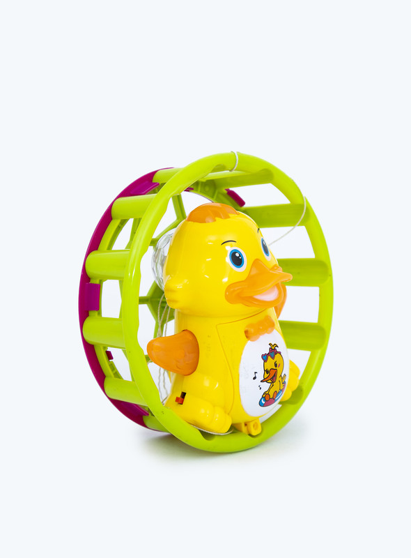 Day N DayToys |B/O DUCK|Todler unisex