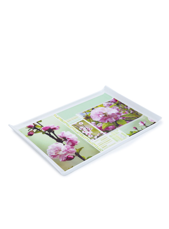 Day N Day Ceramic Wear