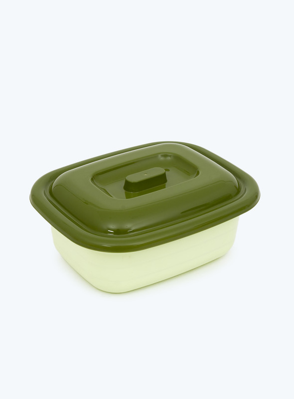 DAY N DAY  FOOD SAVEROLIVE GREEN25*11*17