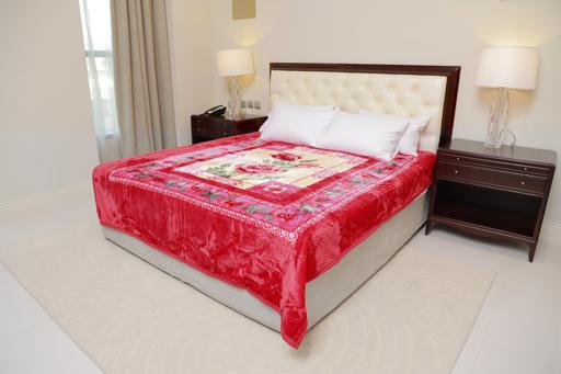 Parajohn 2 Ply 1 Side Embossed Raschel 2020 Blanket 200x240