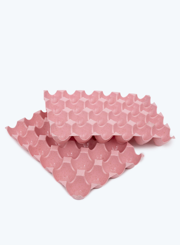 Day N Day Egg Tray