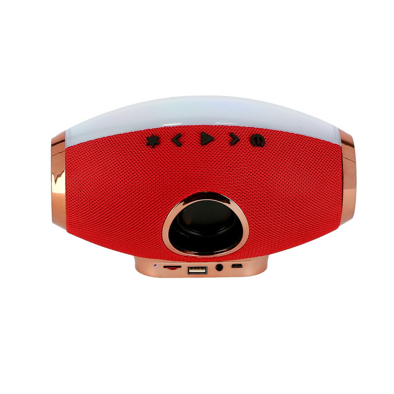 Bluetooth Speaker 5.0 with Light | BT/CALL/USB/TF/FM/AUX