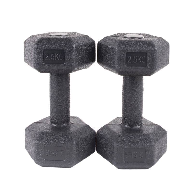 DAY N  DAY Two dumbbells covered with rubber in hexagonal shape, each weighing 2.5 kg and 2 