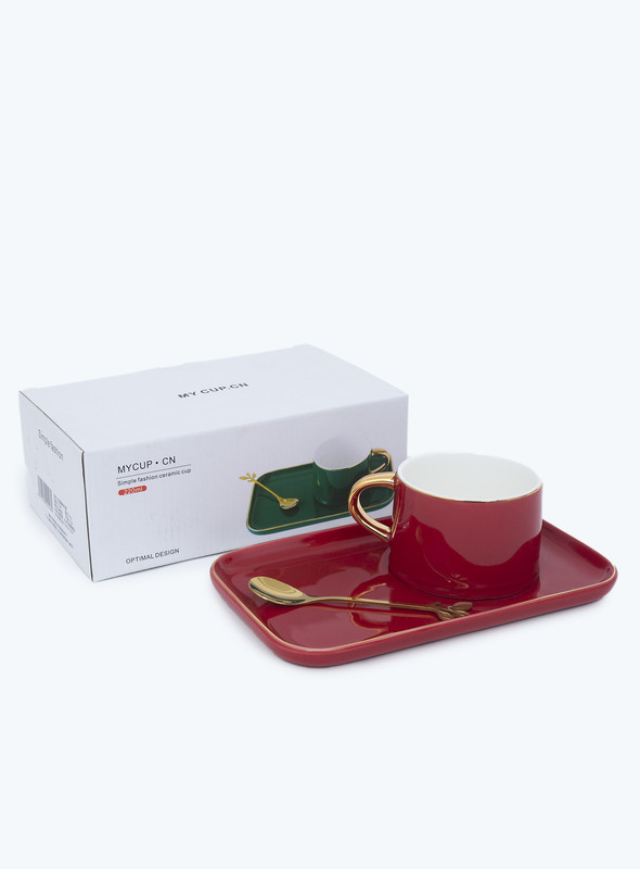DAY N DAY  ceramic coffee cup saucer set with gold plate and flower cup with cover and spoon water cup gift box coffee