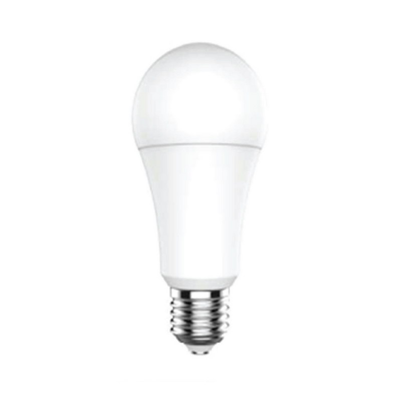 24-Piece Energy Saving LED Blub