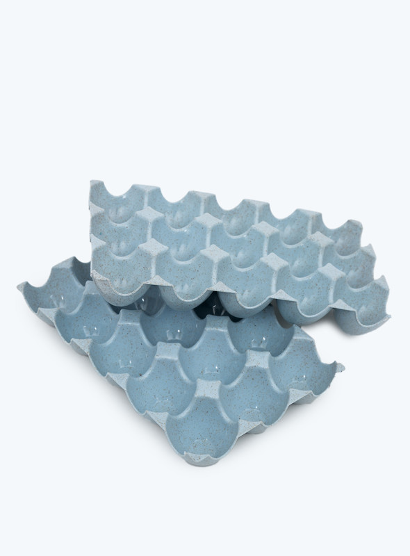 Day N Day Egg Tray