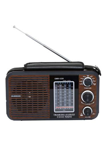 Rechargeable Radio | BT/USB/SD /MP3 Music Player | Excellent Sound Quality, Bluetooth Speaker | Lightweight Portable FM Radio | 8 Band Radio with MP3/WMA Double Decoding
